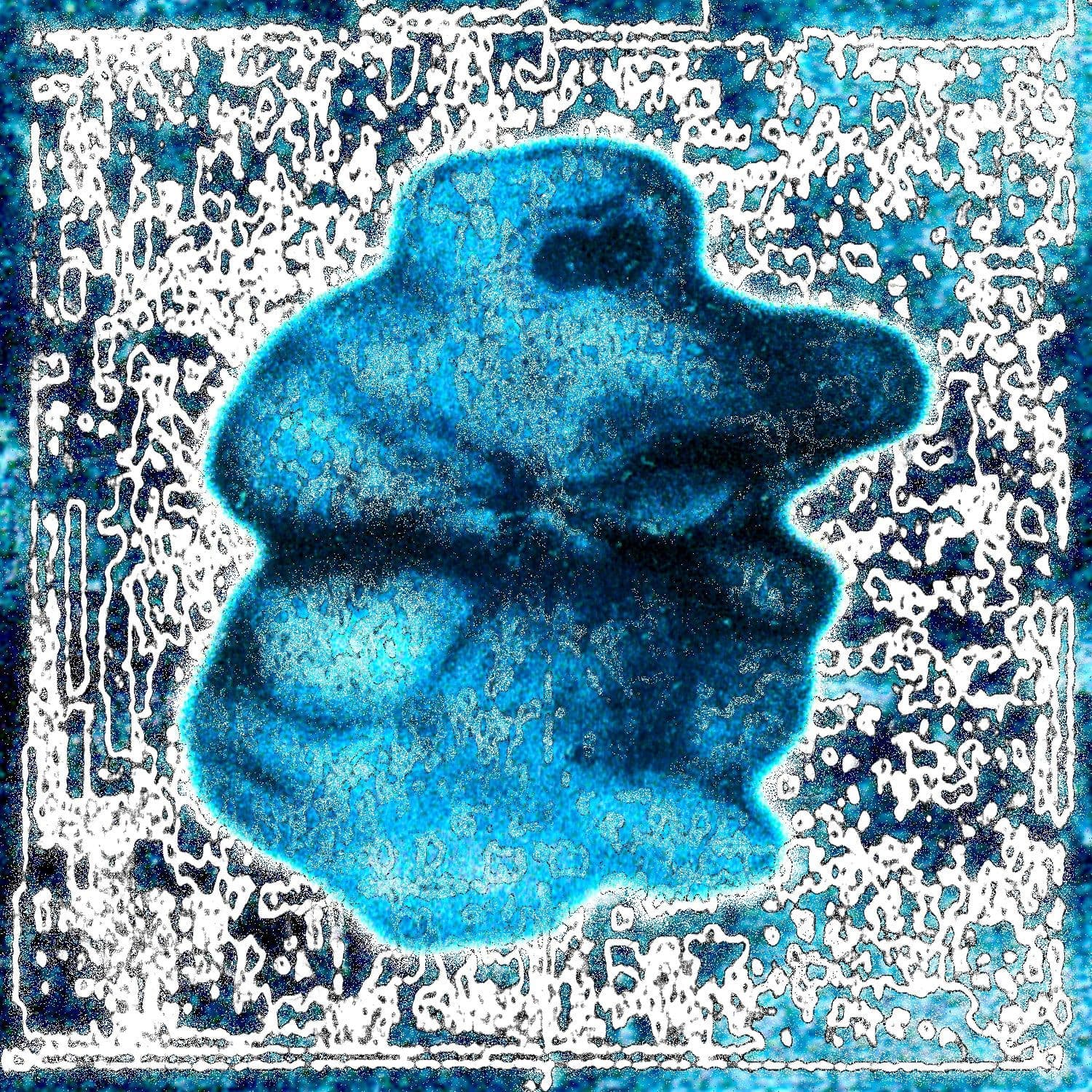 Lucien Balconi & Manuninho